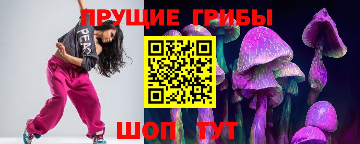 Псилоцибиновые грибы Psilocybine cubensis Рубцовск